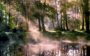 Preview wallpaper lake, trees, fog, sunlight, morning