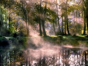 Preview wallpaper lake, trees, fog, sunlight, morning