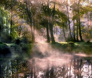 Preview wallpaper lake, trees, fog, sunlight, morning