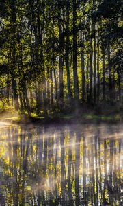 Preview wallpaper lake, trees, fog, light, rays, morning