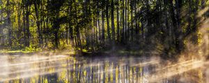 Preview wallpaper lake, trees, fog, light, rays, morning