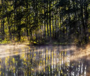 Preview wallpaper lake, trees, fog, light, rays, morning