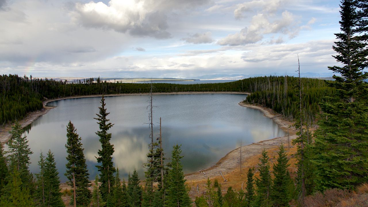 Wallpaper lake, trees, forest, landscape, nature