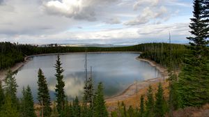 Preview wallpaper lake, trees, forest, landscape, nature