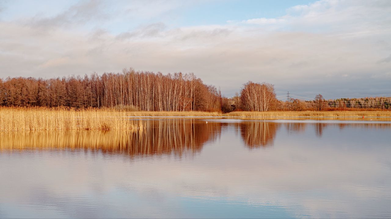 Wallpaper lake, trees, forest, reflection, autumn, landscape