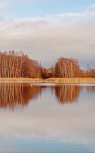 Preview wallpaper lake, trees, forest, reflection, autumn, landscape