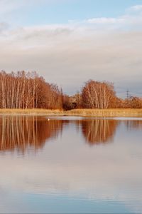 Preview wallpaper lake, trees, forest, reflection, autumn, landscape