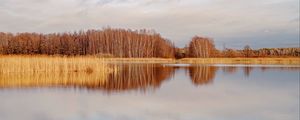 Preview wallpaper lake, trees, forest, reflection, autumn, landscape