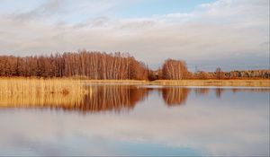 Preview wallpaper lake, trees, forest, reflection, autumn, landscape
