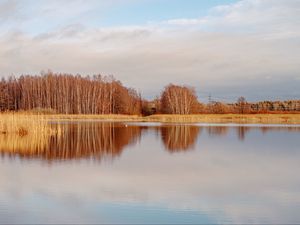 Preview wallpaper lake, trees, forest, reflection, autumn, landscape