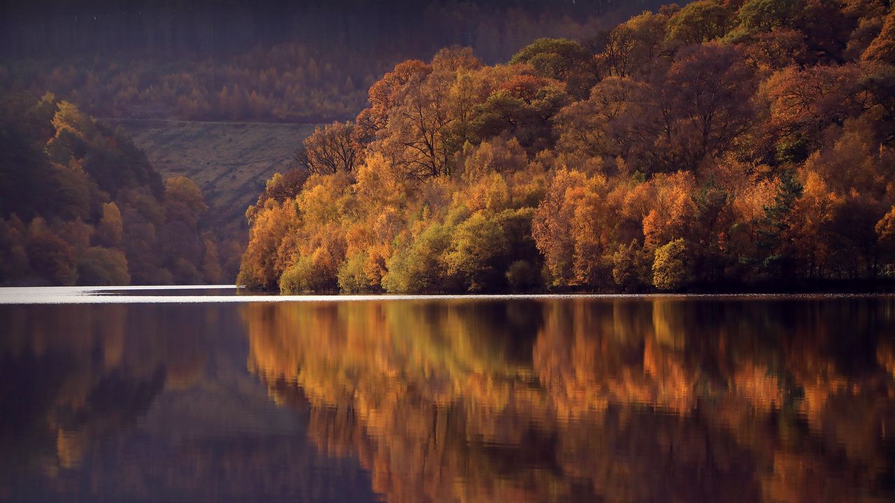 Wallpaper lake, trees, forest, reflection, landscape, autumn
