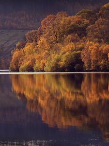 Preview wallpaper lake, trees, forest, reflection, landscape, autumn