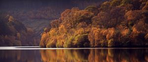 Preview wallpaper lake, trees, forest, reflection, landscape, autumn