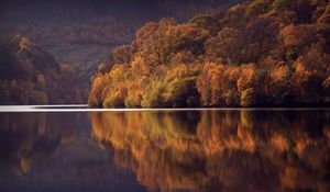 Preview wallpaper lake, trees, forest, reflection, landscape, autumn