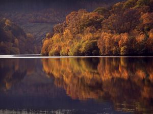 Preview wallpaper lake, trees, forest, reflection, landscape, autumn