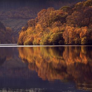 Preview wallpaper lake, trees, forest, reflection, landscape, autumn