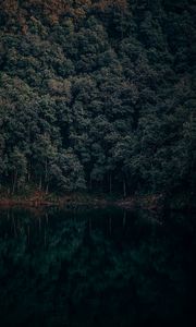 Preview wallpaper lake, trees, forest, reflection, begnas, lekhnath, nepal