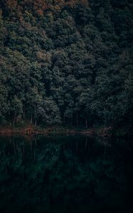 Preview wallpaper lake, trees, forest, reflection, begnas, lekhnath, nepal