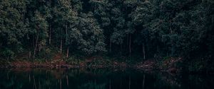 Preview wallpaper lake, trees, forest, reflection, begnas, lekhnath, nepal