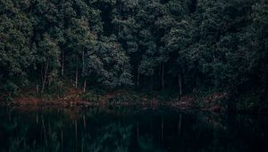 Preview wallpaper lake, trees, forest, reflection, begnas, lekhnath, nepal