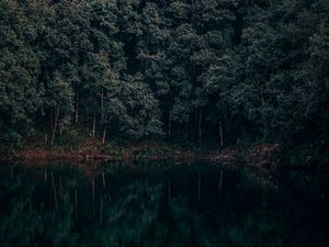 Preview wallpaper lake, trees, forest, reflection, begnas, lekhnath, nepal