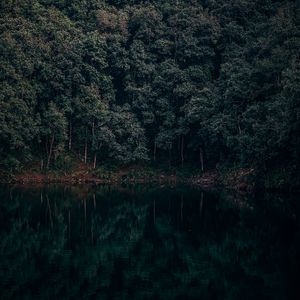 Preview wallpaper lake, trees, forest, reflection, begnas, lekhnath, nepal