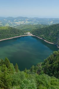 Preview wallpaper lake, trees, forest, nature, clouds, landscape