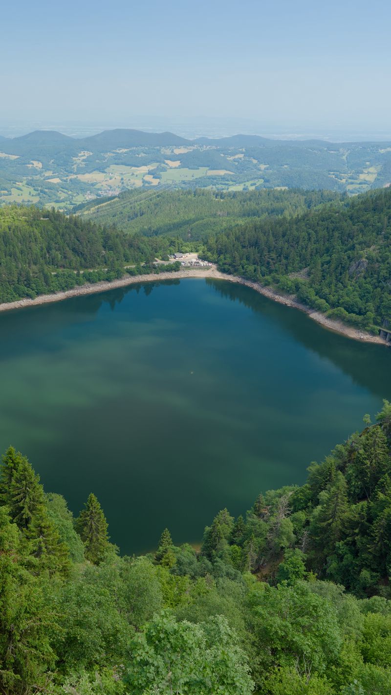 800x1420 Wallpaper lake, trees, forest, nature, clouds, landscape