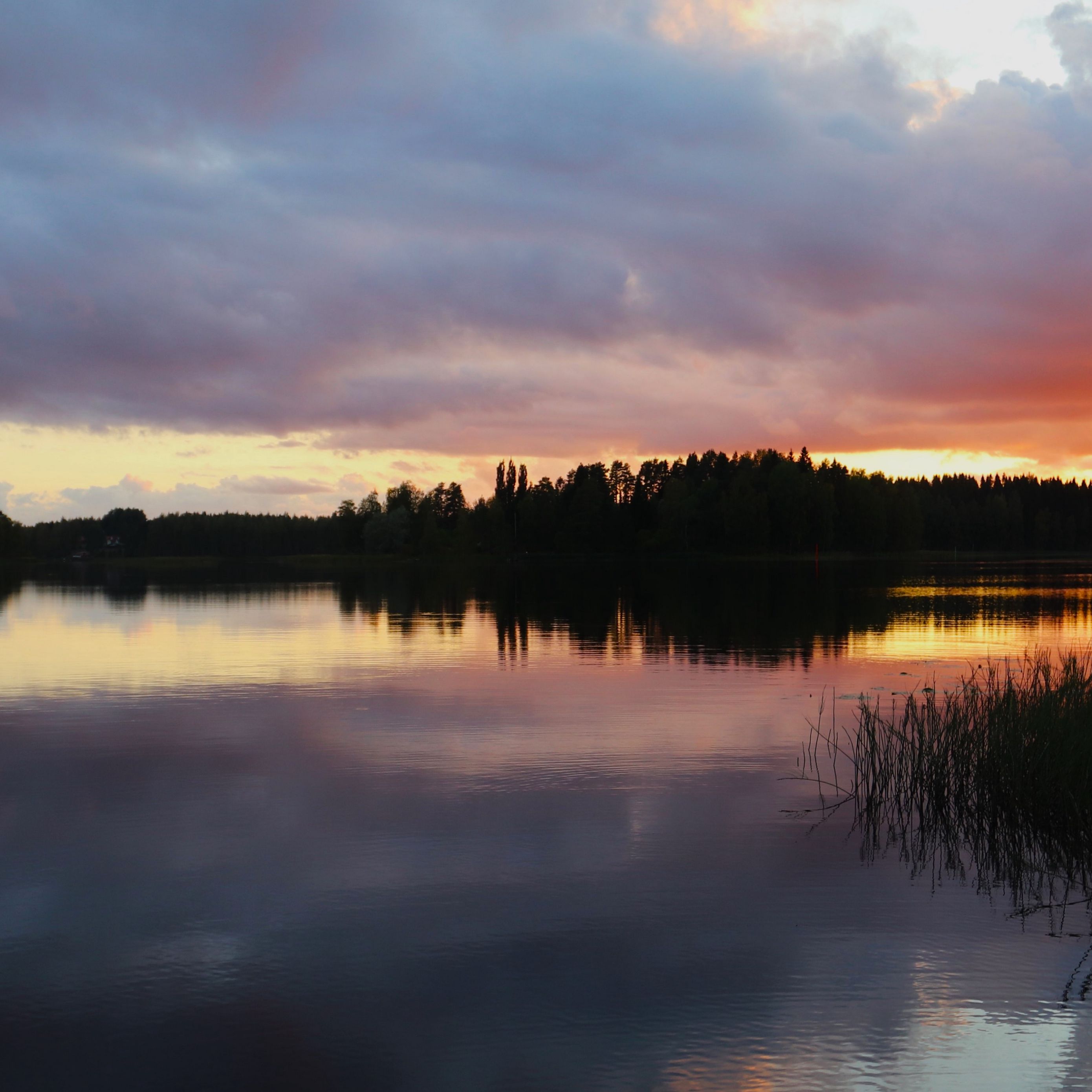2780x2780 Wallpaper lake, trees, forest, clouds, sky, sunset, landscape, dark