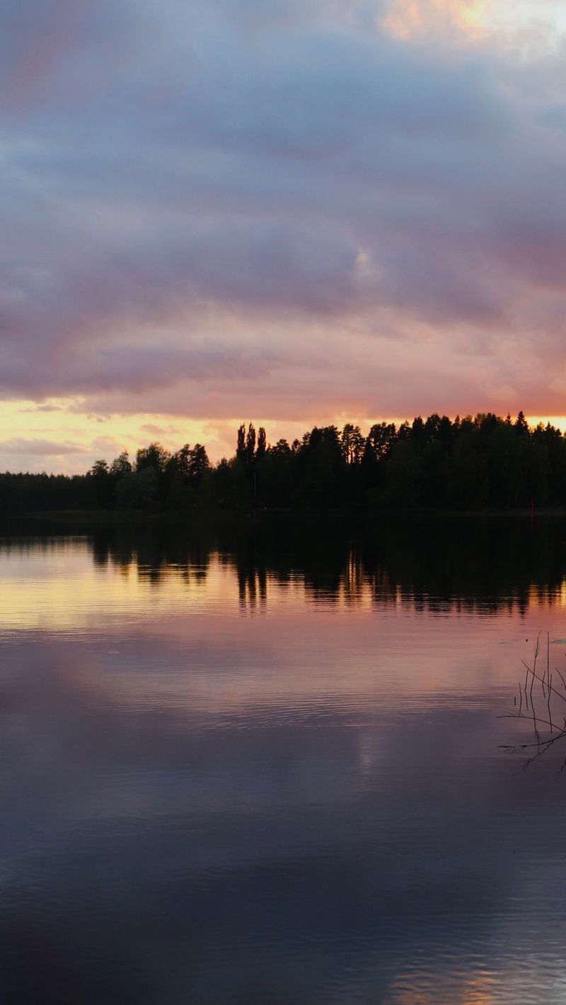 800x1420 Wallpaper lake, trees, forest, clouds, sky, sunset, landscape, dark