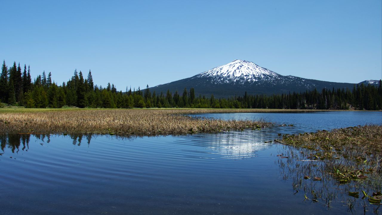 Wallpaper lake, trees, forest, mountain, landscape