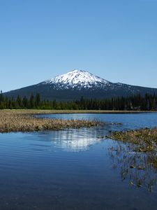 Preview wallpaper lake, trees, forest, mountain, landscape
