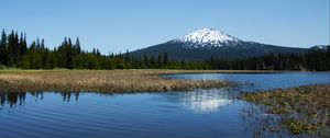 Preview wallpaper lake, trees, forest, mountain, landscape