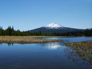 Preview wallpaper lake, trees, forest, mountain, landscape