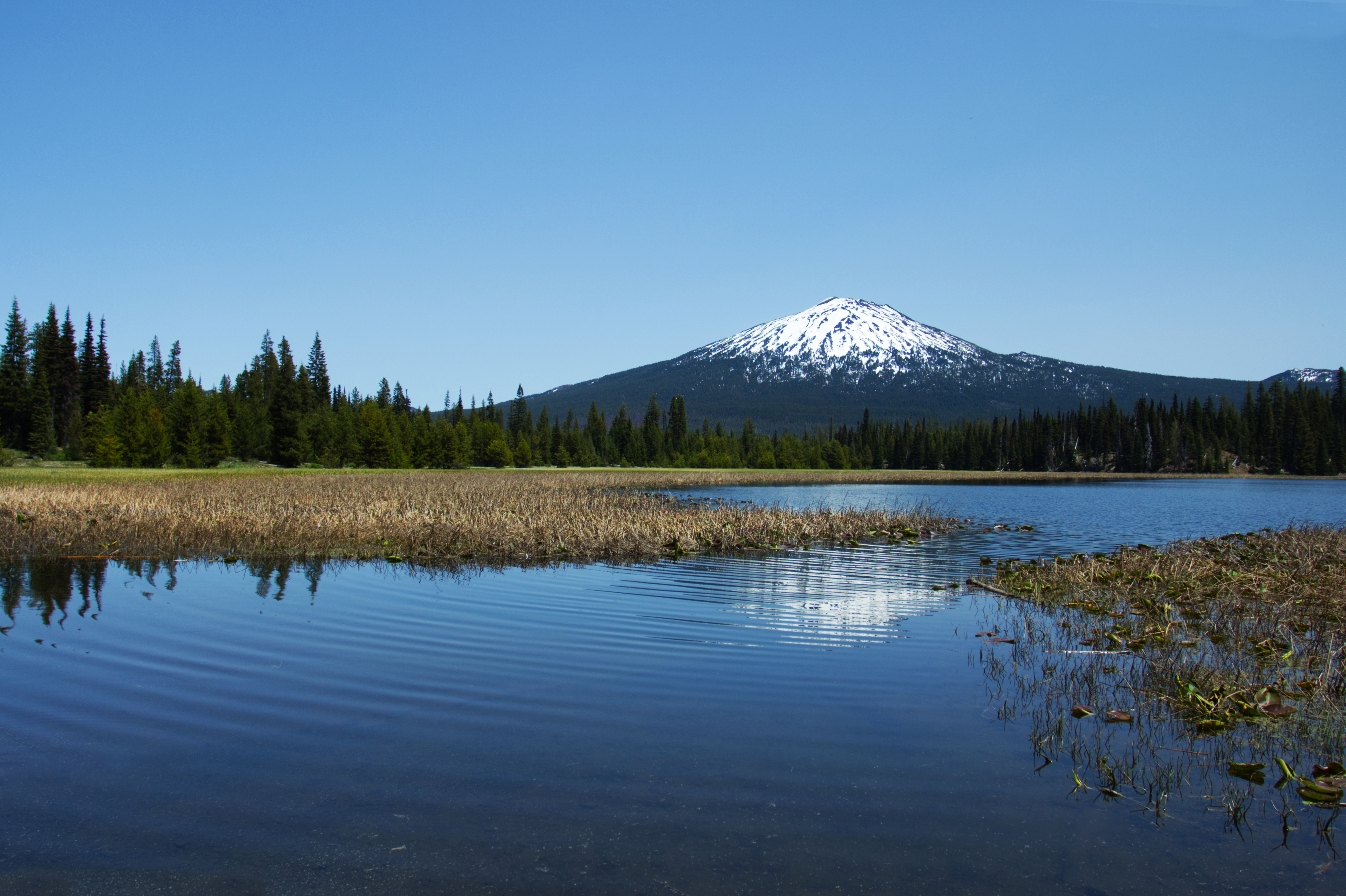 4989x3322 Wallpaper lake, trees, forest, mountain, landscape