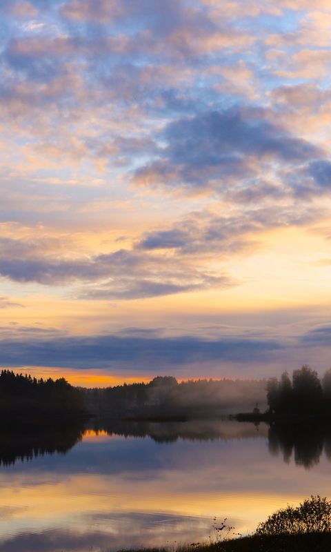 480x800 Wallpaper lake, trees, forest, clouds, sunset, reflection, nature
