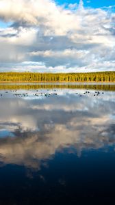 Preview wallpaper lake, trees, forest, reflection