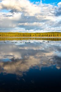 Preview wallpaper lake, trees, forest, reflection