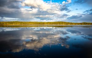 Preview wallpaper lake, trees, forest, reflection