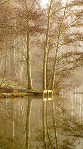 Preview wallpaper lake, trees, forest, reflection, fog