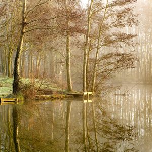 Preview wallpaper lake, trees, forest, reflection, fog
