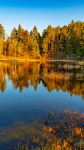 Preview wallpaper lake, trees, forest, reflection, nature, landscape