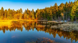 Preview wallpaper lake, trees, forest, reflection, nature, landscape
