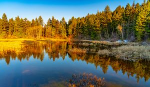 Preview wallpaper lake, trees, forest, reflection, nature, landscape