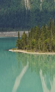 Preview wallpaper lake, trees, forest, island