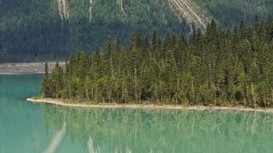 Preview wallpaper lake, trees, forest, island