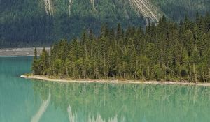 Preview wallpaper lake, trees, forest, island