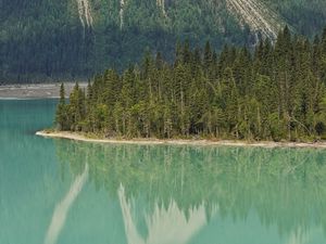 Preview wallpaper lake, trees, forest, island