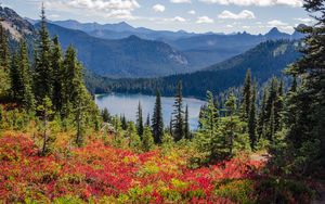 Preview wallpaper lake, trees, forest, flowers, grass, mountains