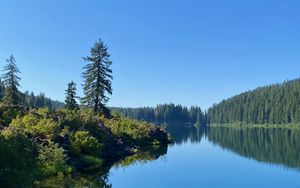 Preview wallpaper lake, trees, forest, shore, landscape